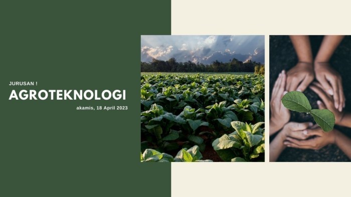 Gaji lulusan agroteknologi