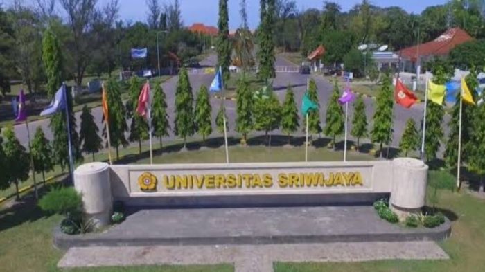 Gaji universitas sriwijaya unsri