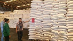 Gaji pt pupuk kujang subsidiary of pupuk indonesia