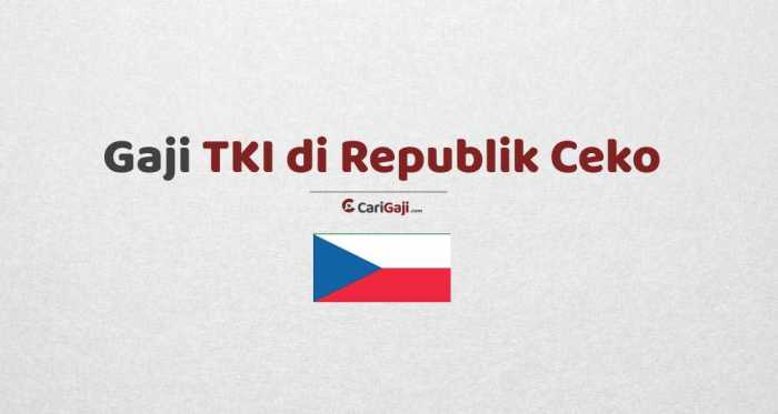 Gaji tki vietnam