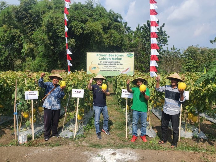 Gaji pt sewu segar nusantara