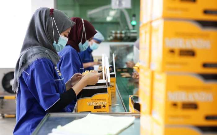 Gaji pt victoria care indonesia