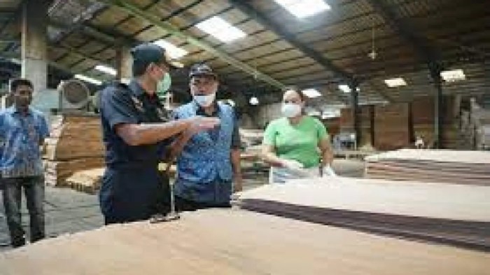 Gaji pt kutai timber indonesia