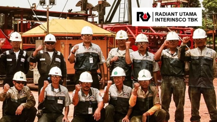 Radiant utama ruis tbk peta aktifitas operasional