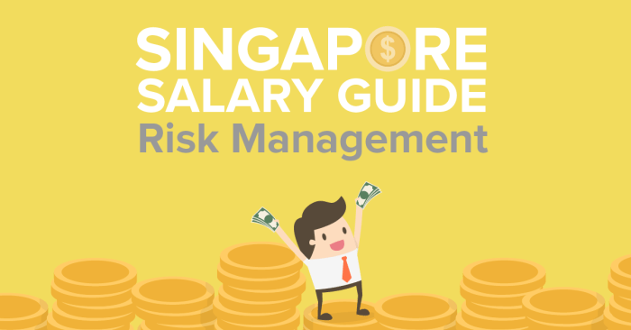 Gaji risk management manager