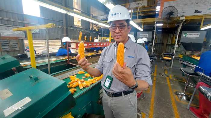 Gaji pt syngenta indonesia