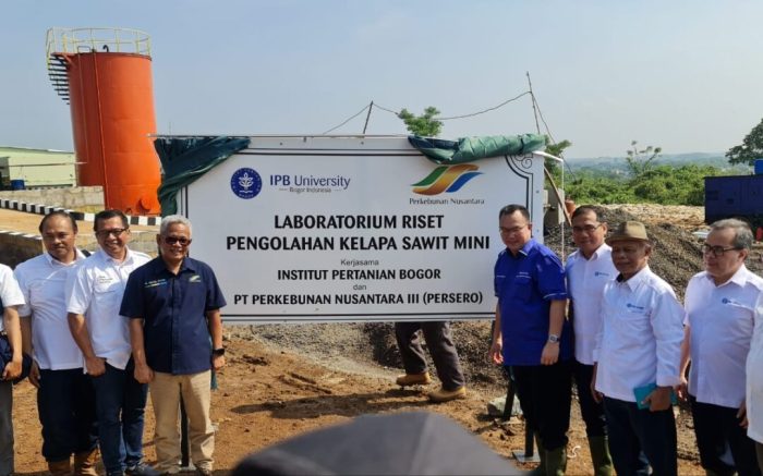 Gaji pt perkebunan nusantara iii