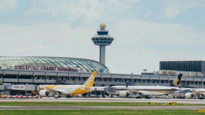 Changi programme airside professional edm cag nus