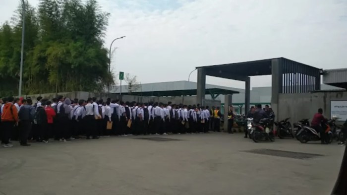 Gaji pt nabati