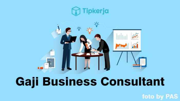 Gaji business consultant