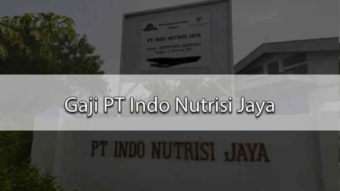 Gaji pt spil
