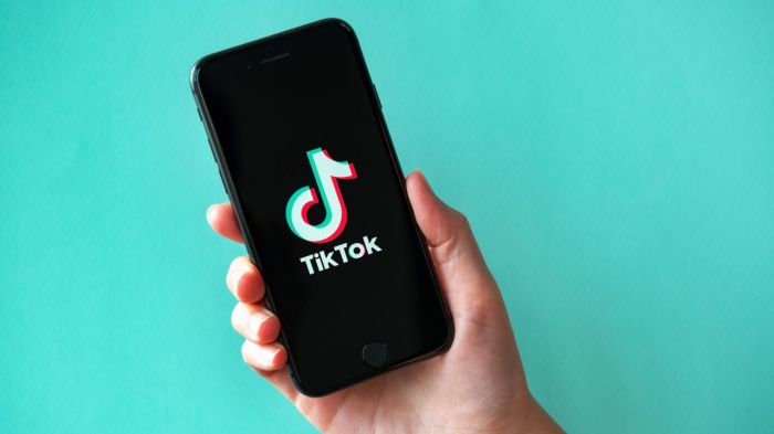 Gaji tiktok 1000 follower