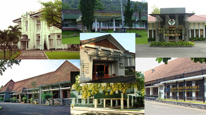 Gaji pt riset perkebunan nusantara