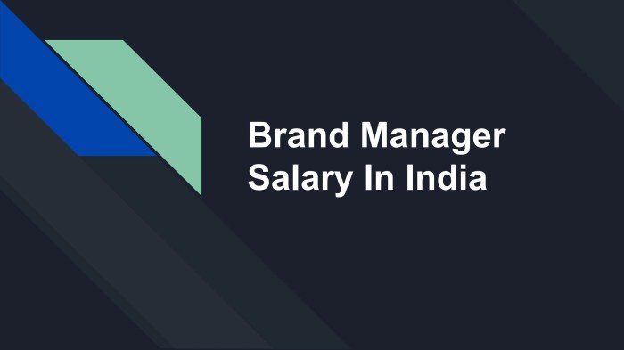 Gaji brand manager