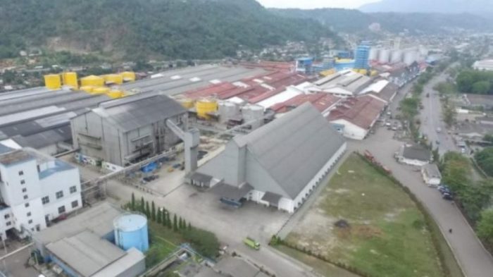 Gaji pt tunas baru lampung