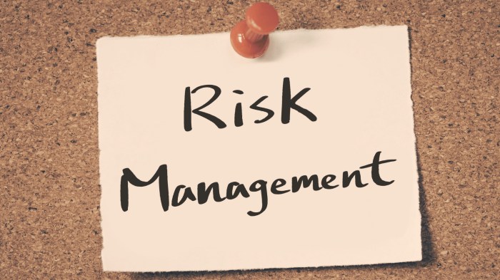 Gaji risk management officer