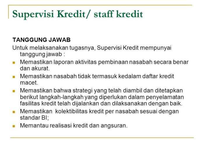 Gaji supervisor risiko kredit