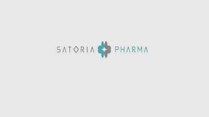 Gaji pt satoria aneka industri 2